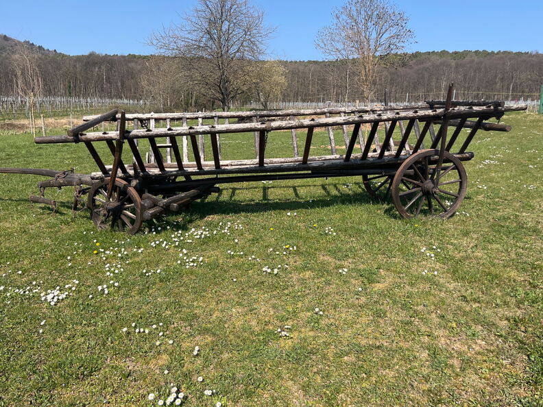 A366DD2D-E709-4D70-9A9C-ADA9BC73DEE9-22244-000004E7201A8F2D